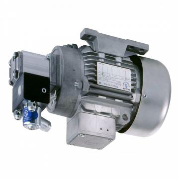Pompa Idraulica Bosch/Rexroth 14cm ³ Deutz-Fahr 2506 4006 5006 5506 6006 7006