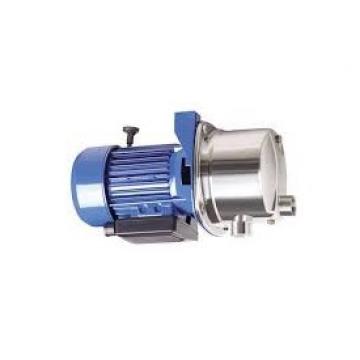 Loncin 9HP Benzina Motore Guidato Idraulico Alto-Basso Pompa ZZ001360