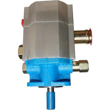 220V 10000PSI pompa idraulica azionata elettrico semplice effetto ELETTROVALVOLA DHL