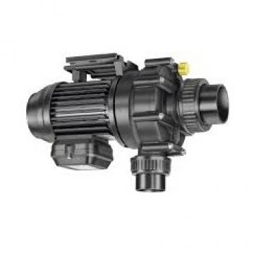 705-51-20290 pompa idraulica per Komatsu WA200-3 WA200-3-X WA200-1 WA250PT-3