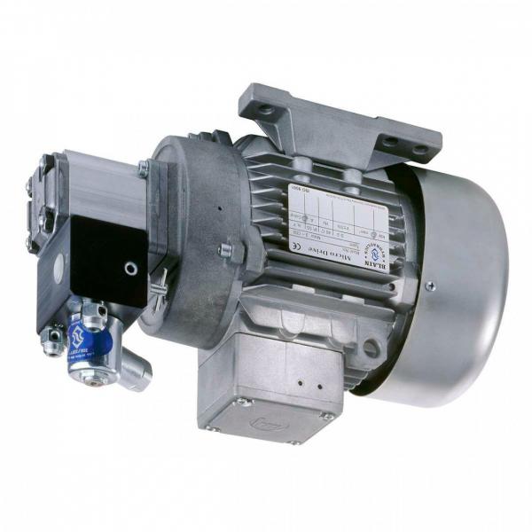 Pompa Idraulica per Case IH / Ihc C 55 64 70 , Cs 78 86 94 con Mwm - Motore