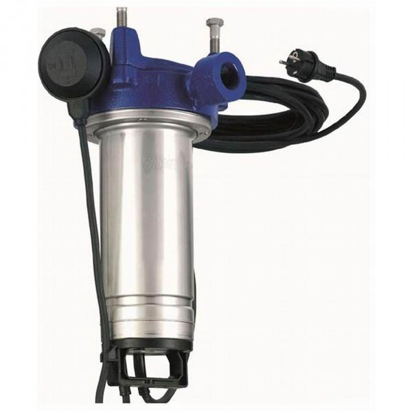 Pompe à Eau Lowara BGM7 0,75 KW - 3,6 M³/h, Monophasée 220V | Pour Puits, Arrosage, Surpression, Vidange
